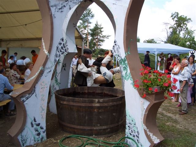 Burgfest 2006 - (Fotos Riepl/Hebenstreit)