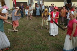 Burgfest 2006 (Fotos Manfred Schretzmayer)