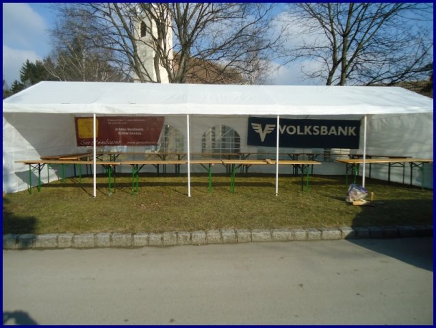 Faschingsumzug 2015 (Fotos Franz Amon)