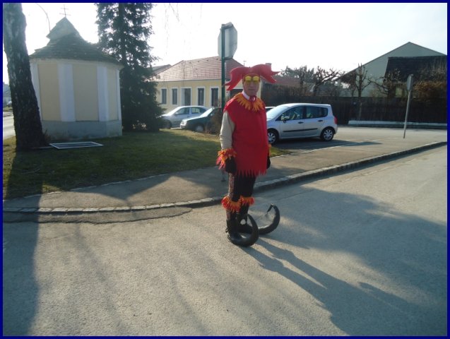 Faschingsumzug 2015 (Fotos Franz Amon)