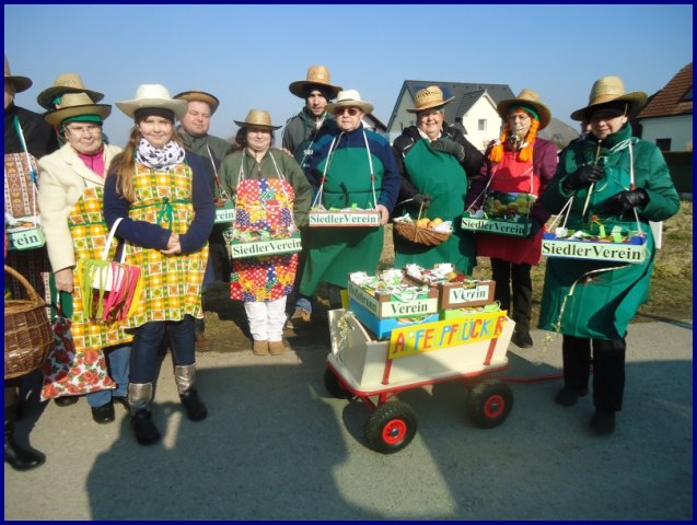 Faschingsumzug 2015 (Fotos Franz Amon)