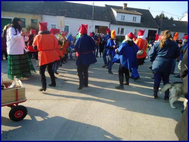 Faschingsumzug 2015 (Fotos Franz Amon)