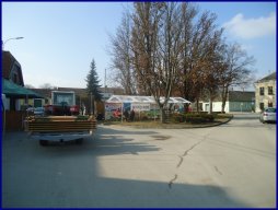 Faschingsumzug 2015 (Fotos Franz Amon)