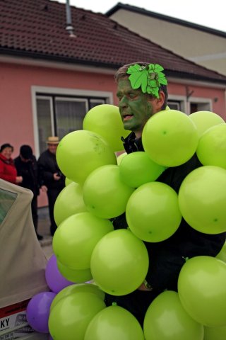 Faschingsumzug 2017 (Fotos Friedrich Weber)