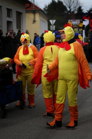 Faschingsumzug 2017 (Fotos Friedrich Weber)