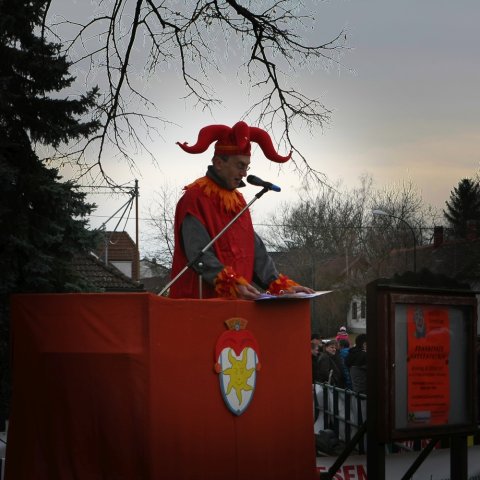 Faschingsumzug 2017 (Fotos Friedrich Weber)