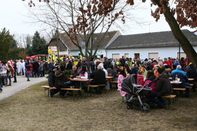 Faschingsumzug 2017 (Fotos Friedrich Weber)