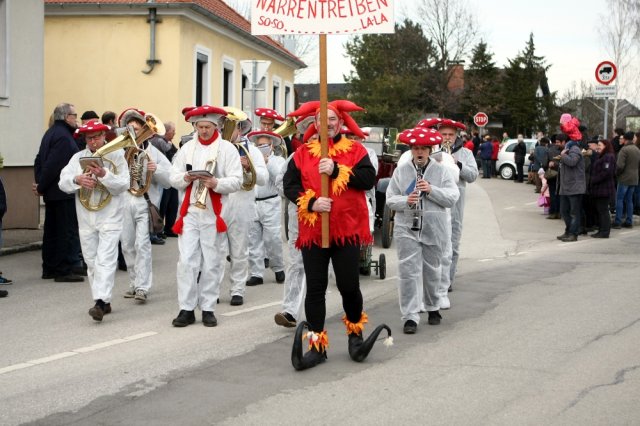 Faschingsumzug 2017 (Fotos Friedrich Weber)