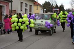 Faschingsumzug 2017 (Fotos Friedrich Weber)