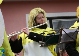 Faschingsumzug 2017 (Fotos Friedrich Weber)