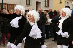 Faschingsumzug 2017 (Fotos Friedrich Weber)