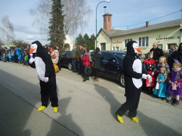 Faschingsumzug 2019 (Fotos Franz Amon)