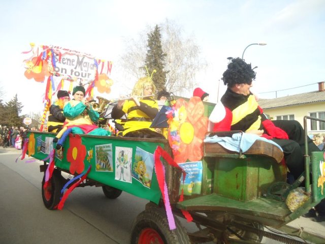 Faschingsumzug 2019 (Fotos Franz Amon)