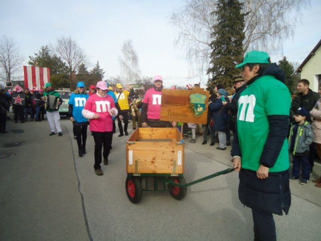 Faschingsumzug 2019 (Fotos Franz Amon)