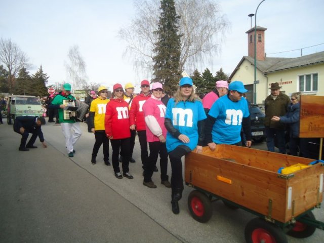 Faschingsumzug 2019 (Fotos Franz Amon)