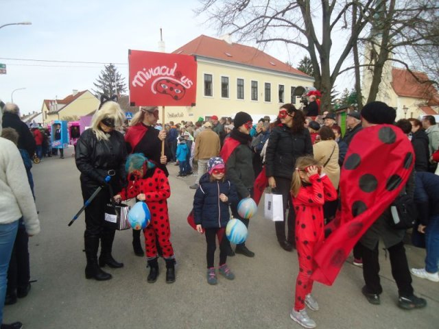 Faschingsumzug 2019 (Fotos Franz Amon)