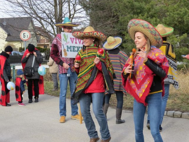 Faschingsumzug 2019 (Fotos Franz Amon)