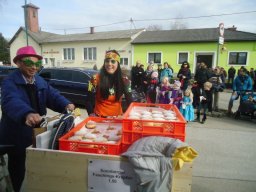 Faschingsumzug 2019 (Fotos Franz Amon)