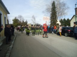 Faschingsumzug 2019 (Fotos Franz Amon)