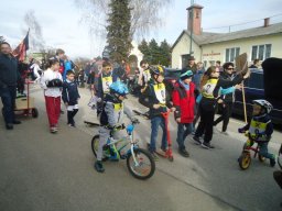 Faschingsumzug 2019 (Fotos Franz Amon)