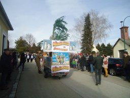 Faschingsumzug 2019 (Fotos Franz Amon)