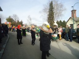 Faschingsumzug 2019 (Fotos Franz Amon)