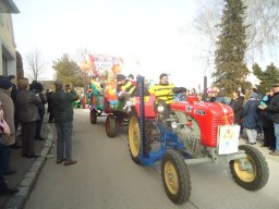 Faschingsumzug 2019 (Fotos Franz Amon)