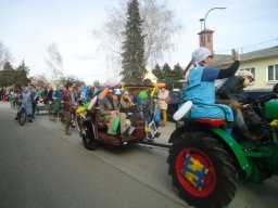 Faschingsumzug 2019 (Fotos Franz Amon)