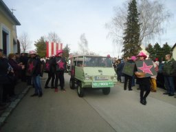 Faschingsumzug 2019 (Fotos Franz Amon)