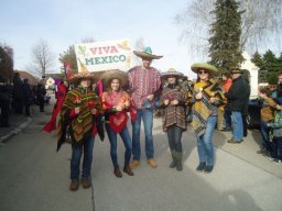 Faschingsumzug 2019 (Fotos Franz Amon)