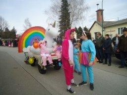 Faschingsumzug 2019 (Fotos Franz Amon)