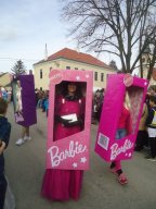 Faschingsumzug 2019 (Fotos Franz Amon)