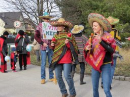 Faschingsumzug 2019 (Fotos Franz Amon)