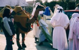 Narrentreiben 1992 bis 2001