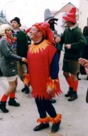 Narrentreiben 2003