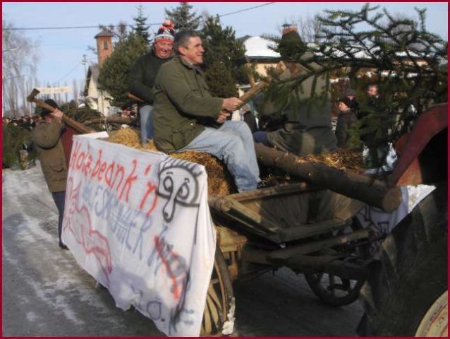 Narrentreiben 2005 (Fotos div. Fotogr.)