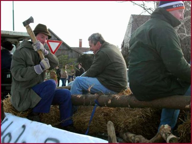 Narrentreiben 2005 (Fotos div. Fotogr.)