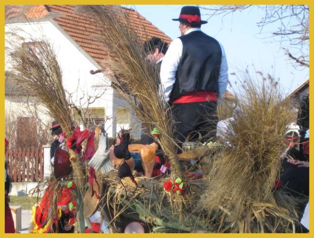 Narrentreiben 2007 (Fotos Herbert bzw Harald Binder)