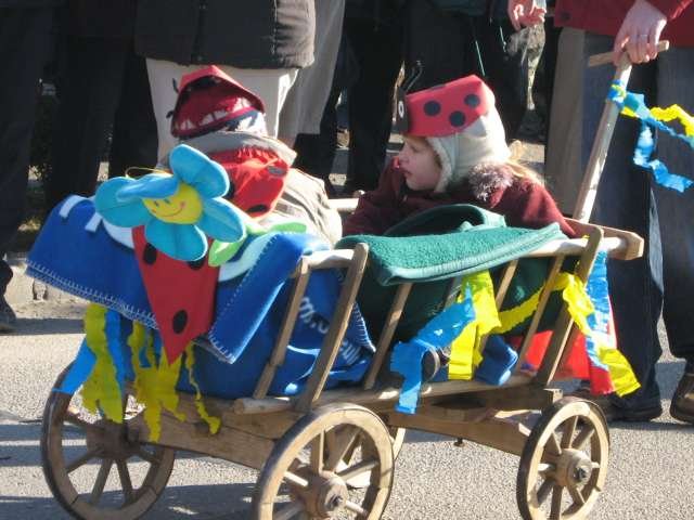 Narrentreiben 2007 (Fotos Herbert bzw Harald Binder)