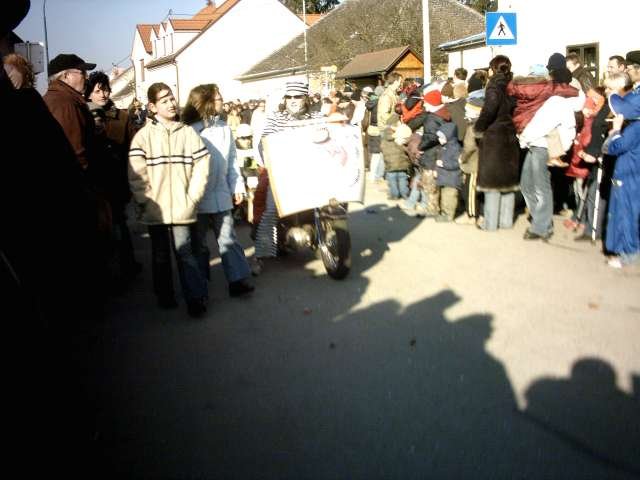 Narrentreiben 2007 (Fotos Herbert bzw Harald Binder)