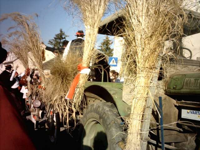 Narrentreiben 2007 (Fotos Herbert bzw Harald Binder)