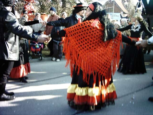 Narrentreiben 2007 (Fotos Herbert bzw Harald Binder)