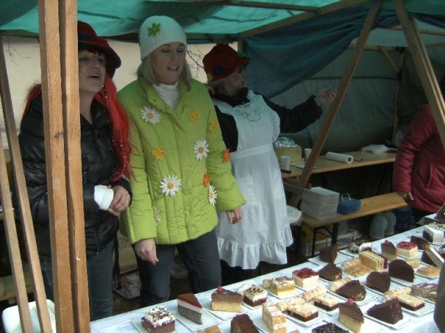 Narrentreiben 2011 (Fotos Robert Bayer)