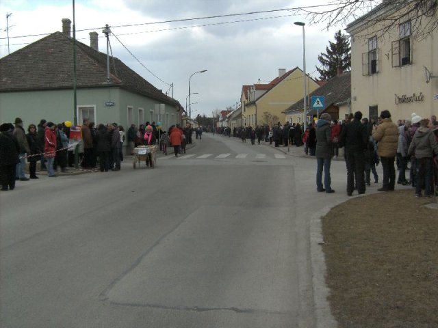 Narrentreiben 2011 (Fotos Robert Bayer)