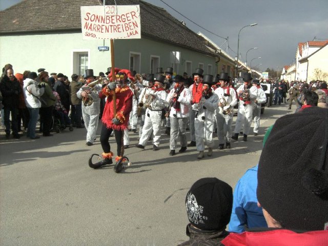 Narrentreiben 2011 (Fotos Robert Bayer)