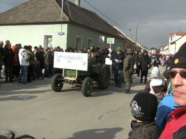 Narrentreiben 2011 (Fotos Robert Bayer)