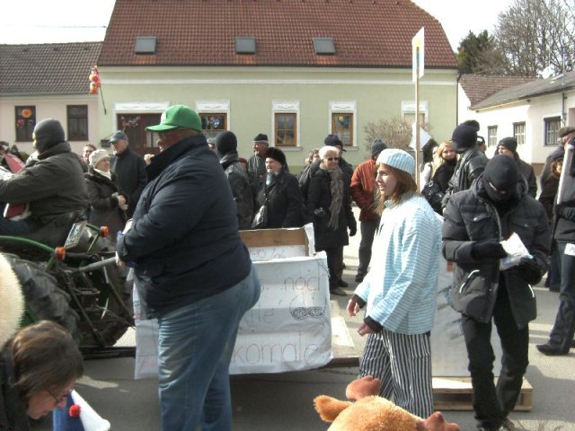 Narrentreiben 2011 (Fotos Robert Bayer)