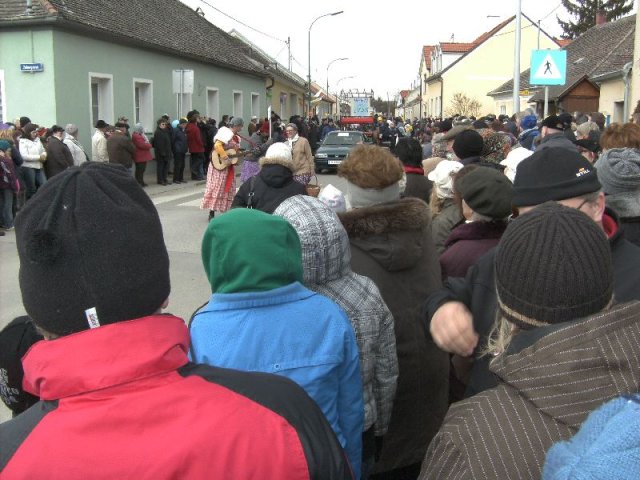 Narrentreiben 2011 (Fotos Robert Bayer)