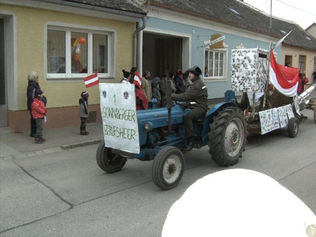 Narrentreiben 2011 (Fotos Robert Bayer)