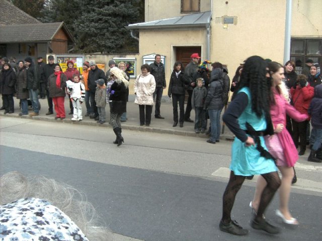 Narrentreiben 2011 (Fotos Robert Bayer)